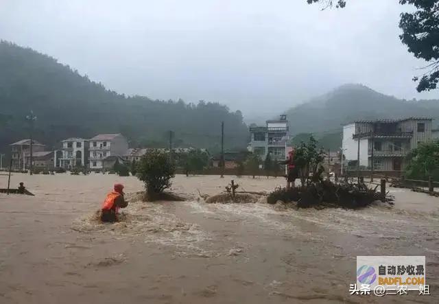 暴雨迷路了2830号山东河北大雨暴雨隐没强降