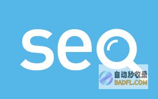 揭秘SEO的奥秘：新手到专家的转型之路 (seo seo)