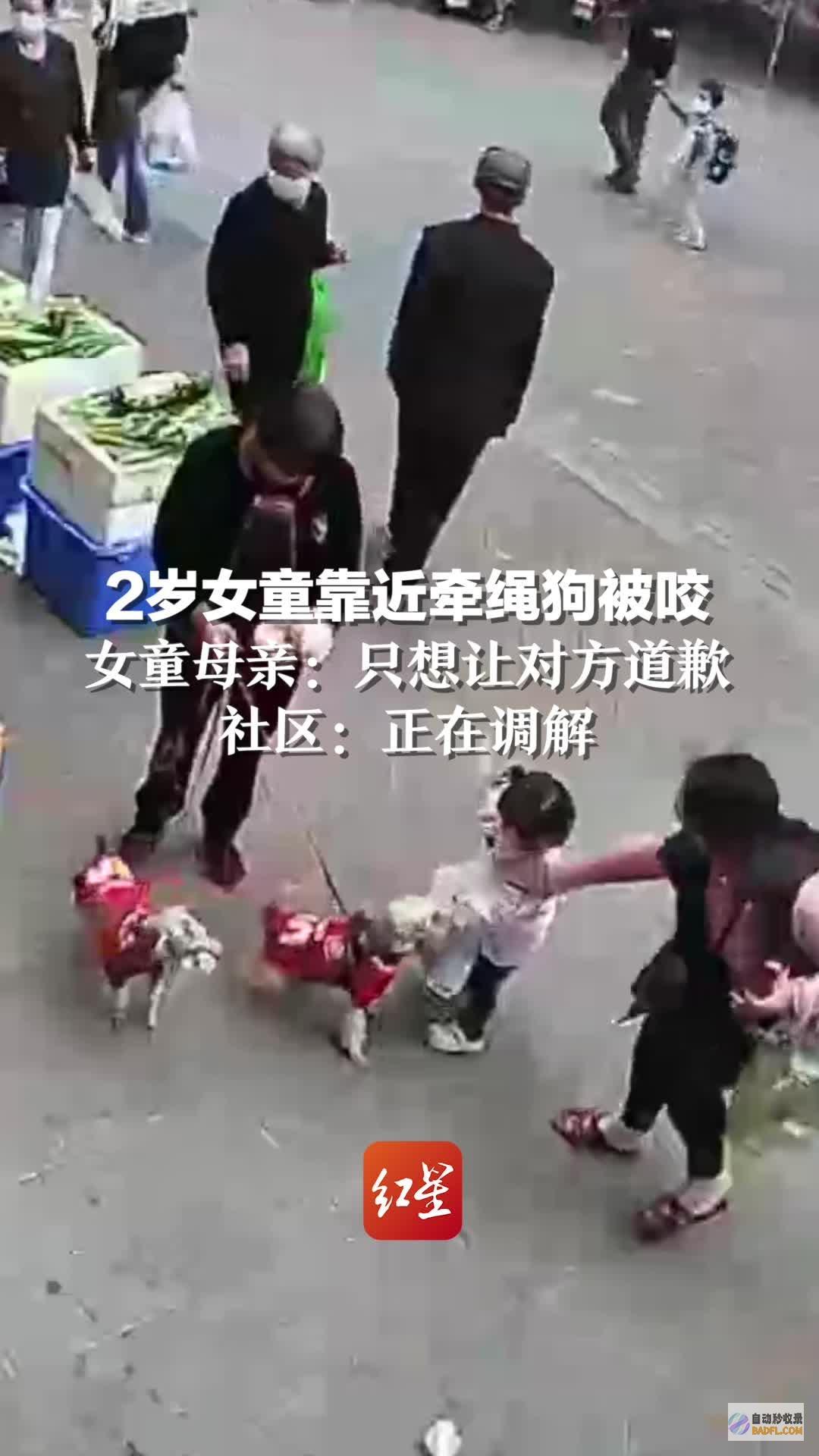 2岁女童由于尿裤子被扇到嘴角流血 打人者身份曝光 网友炸锅！ (2岁女婴)