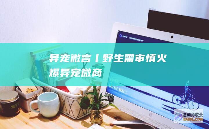 异宠 微言丨 野生需审慎 火爆 (异宠微商)