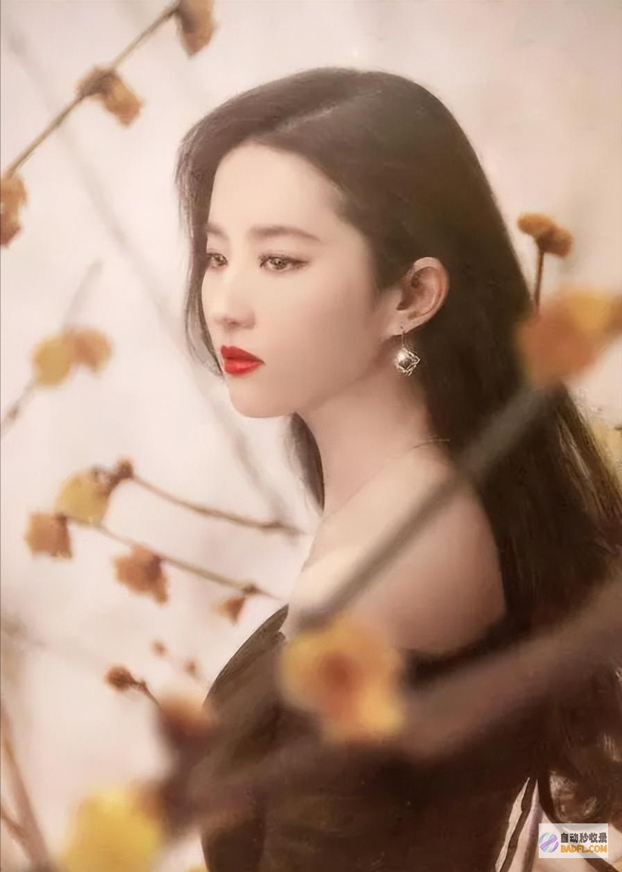 都认为黄亦玫洒脱转身大终局苏更生戳