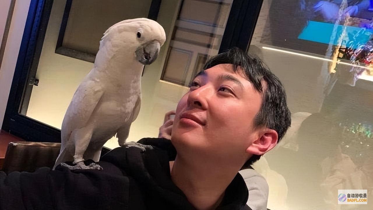 王思聪这次真是摊上小事儿了王思聪这两天