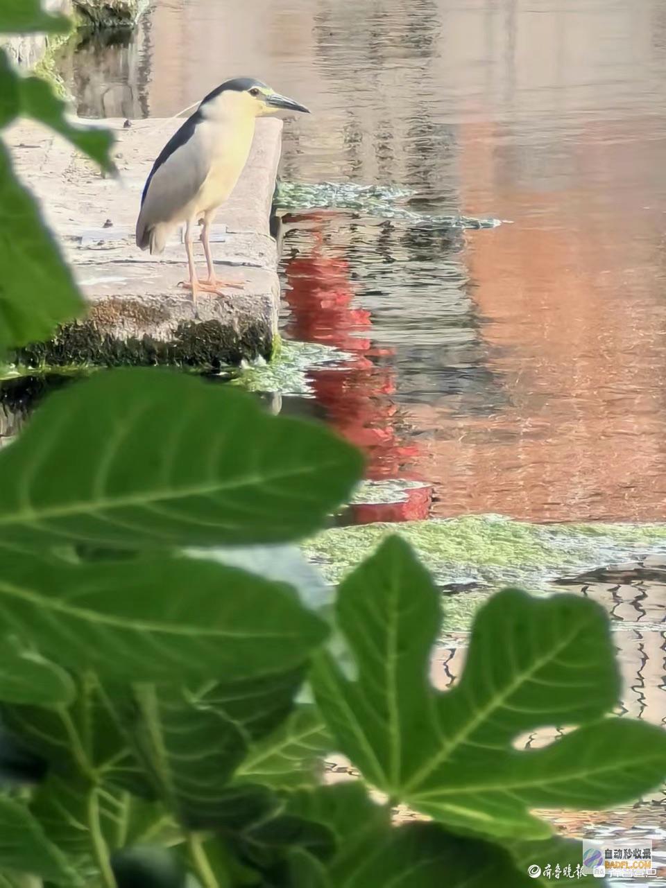 我在记载老街的静谧生存我在老街等你