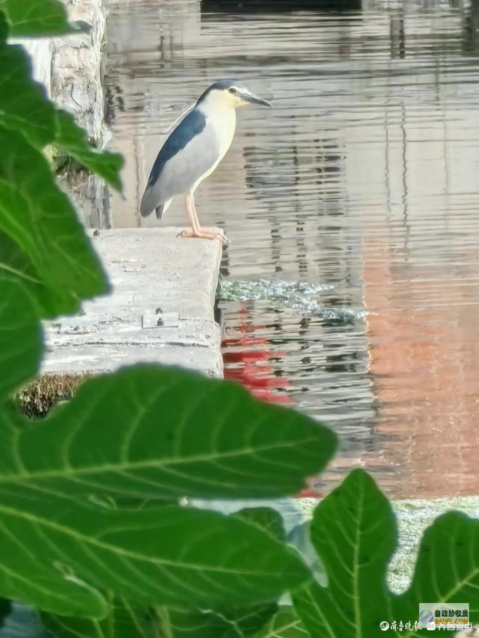 我在记载老街的静谧生存我在老街等你