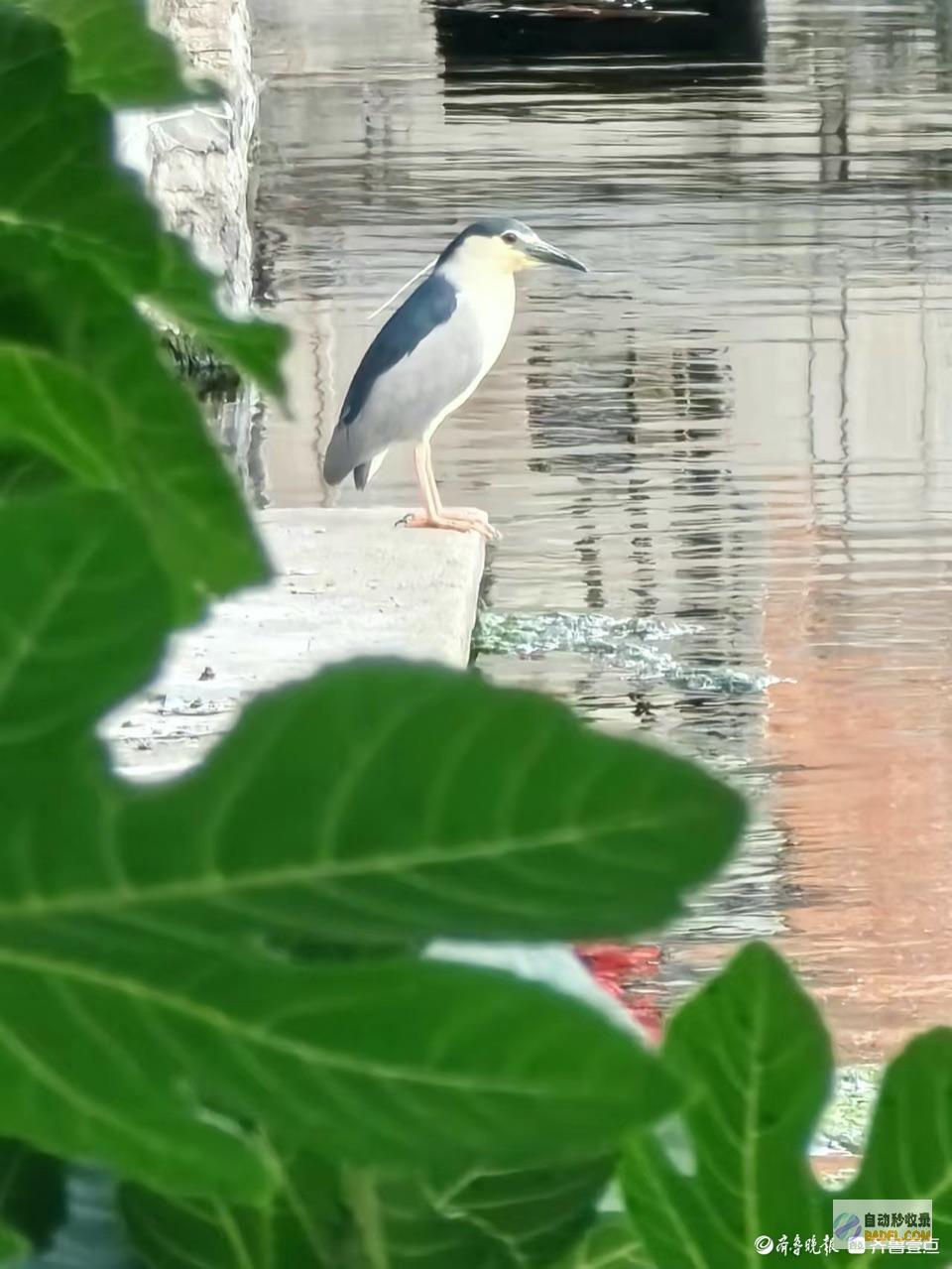 我在记载老街的静谧生存我在老街等你