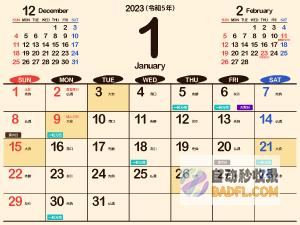 2024 XR重回1981 (2024xrv)