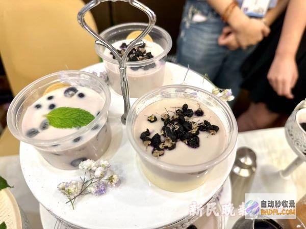花青素奶酪一群大在校生脑洞大开创意无量陈皮龙