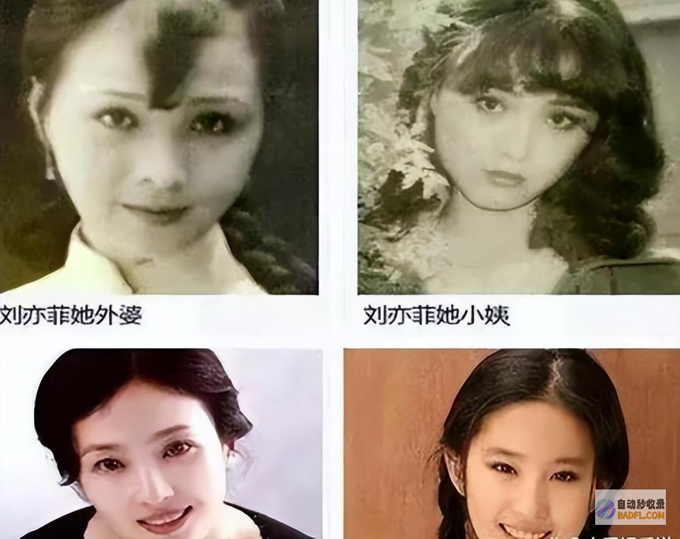 离婚后谋求者有数刘亦菲妈妈才是真的黄亦玫