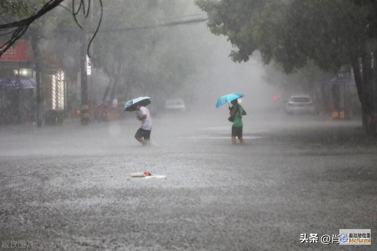 暴雨散布如下本轮强降雨情势大变当天夜间至7月1