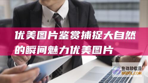 优美图片鉴赏：捕捉大自然的瞬间魅力 (优美图片鉴赏素材)