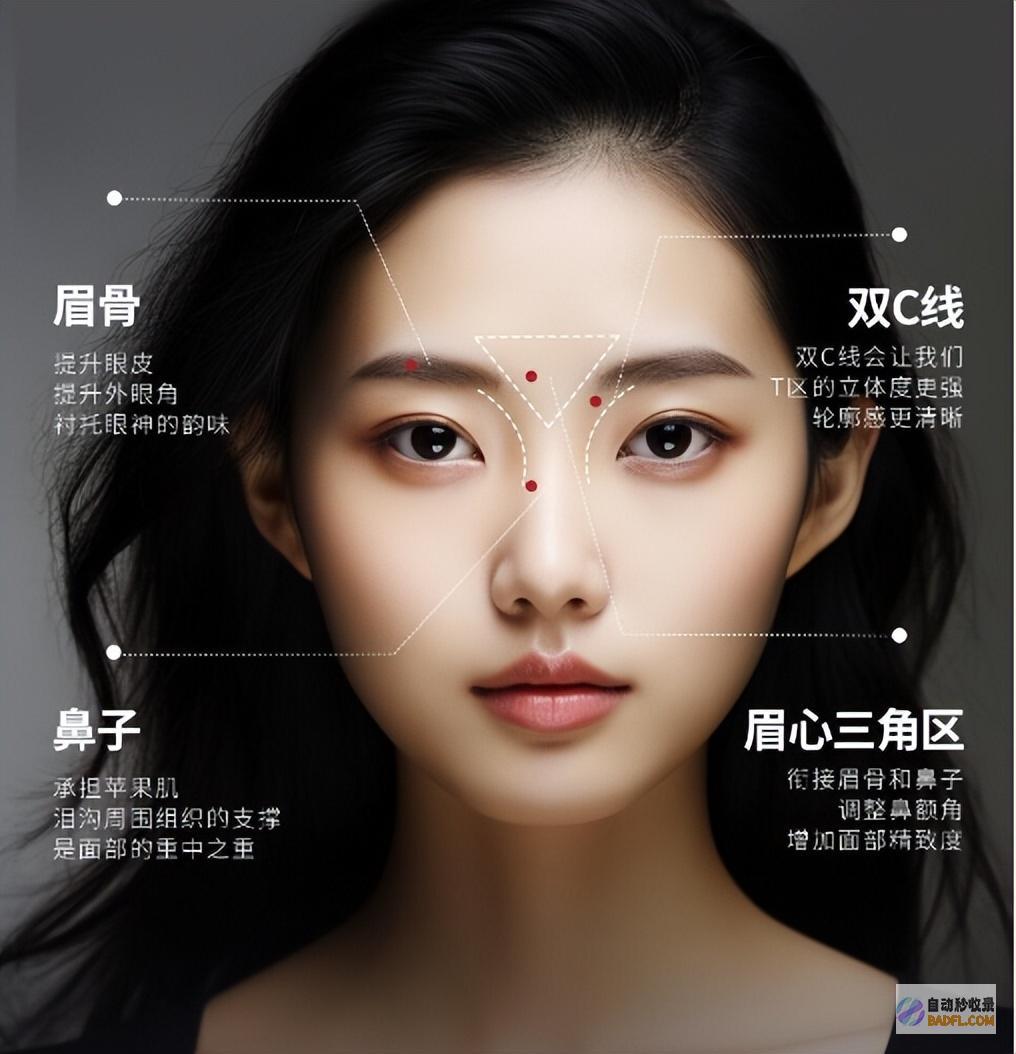 T区美学T区美学英语怎么说