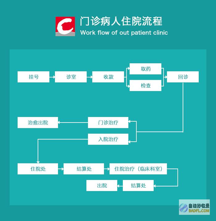 全面指南：诊断和修复百度收录问题，提升网站可见度 (指南全面发展)