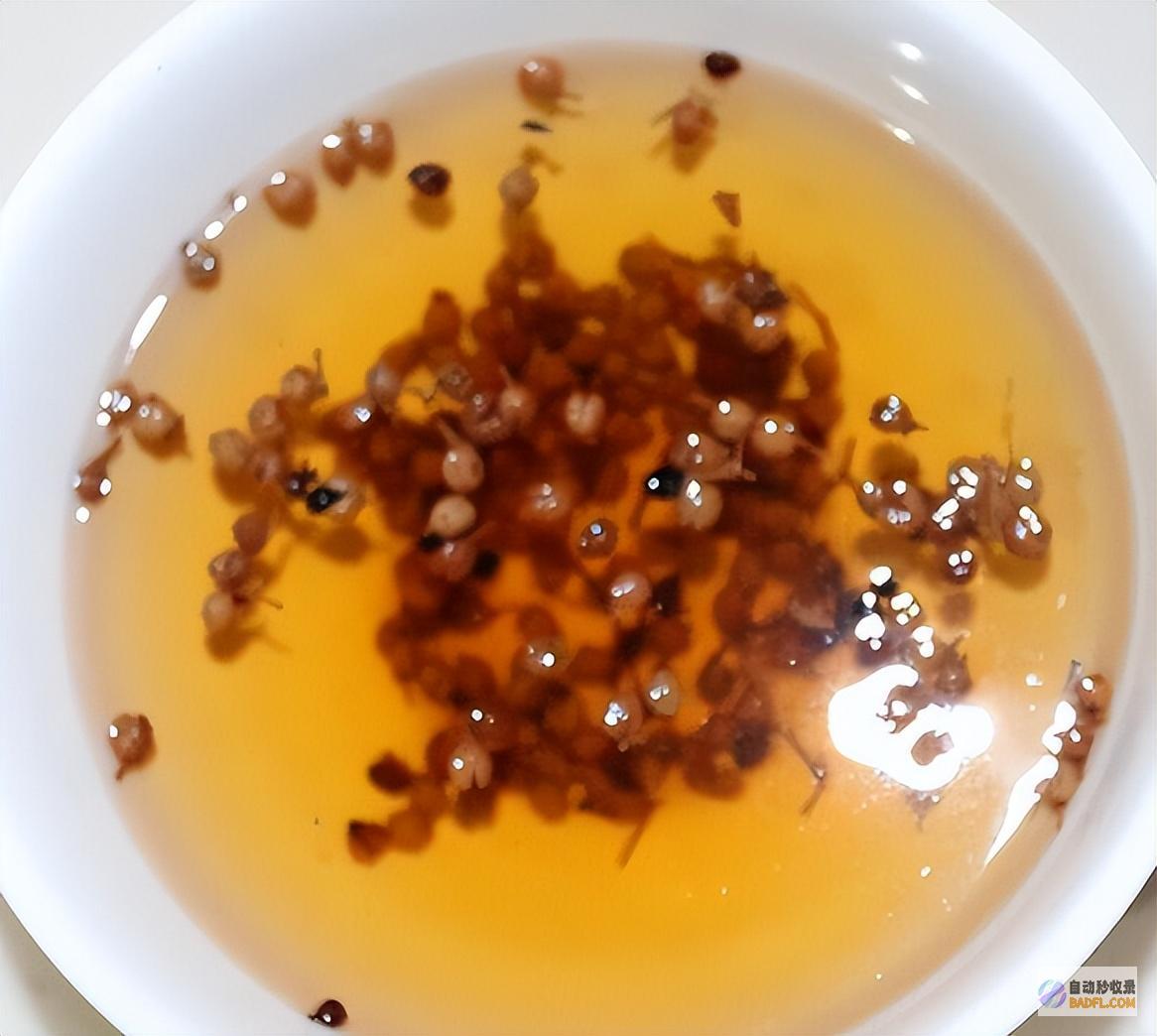 原来蚊子的最大克星不是蚊香其实驱蚊很便捷整晚