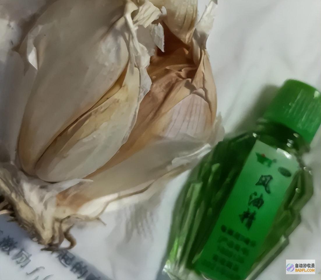 原来蚊子的最大克星不是蚊香其实驱蚊很便捷整晚