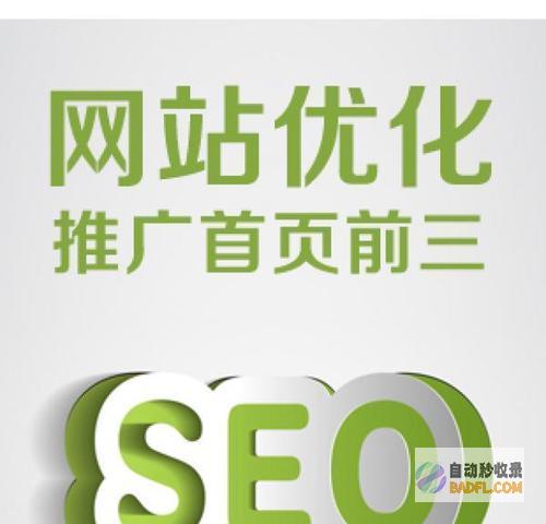 揭秘网站收录的奥秘：分步指南，让您的网站脱颖而出 (揭秘网站收录多少)