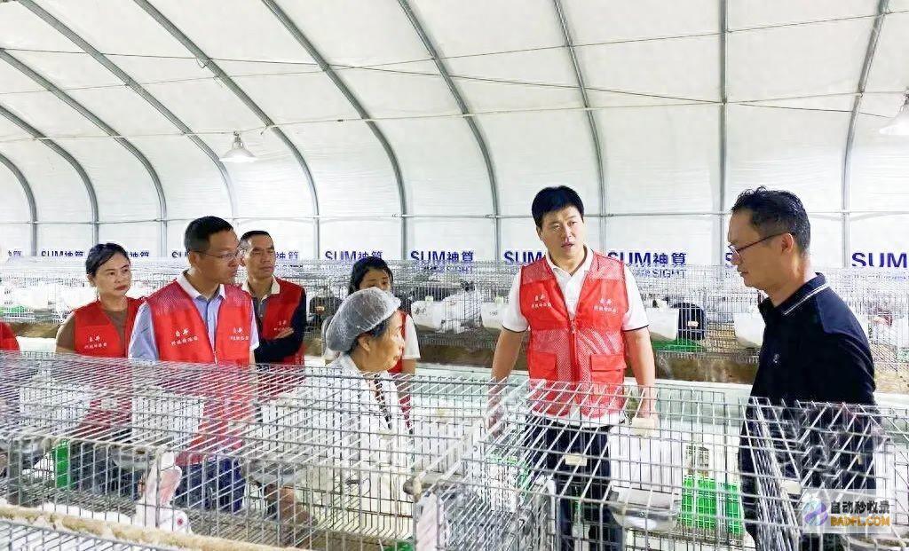 进圈舍 察疑问 自流井区科技特派团用智慧点亮乡村未来 开良方……