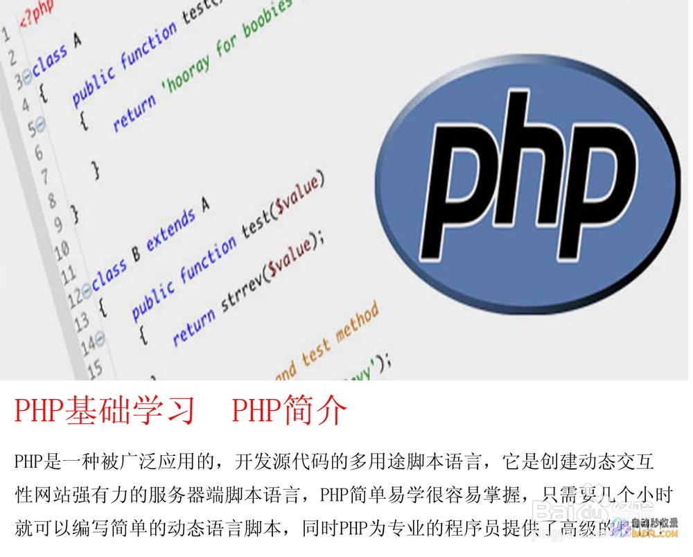 PHP 全面指南：从初学者到资深开发者的学习之路 (php全程)