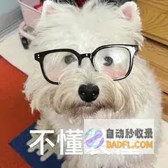 的士徒弟上海到打飞的B太疯狂玩命这是钱还