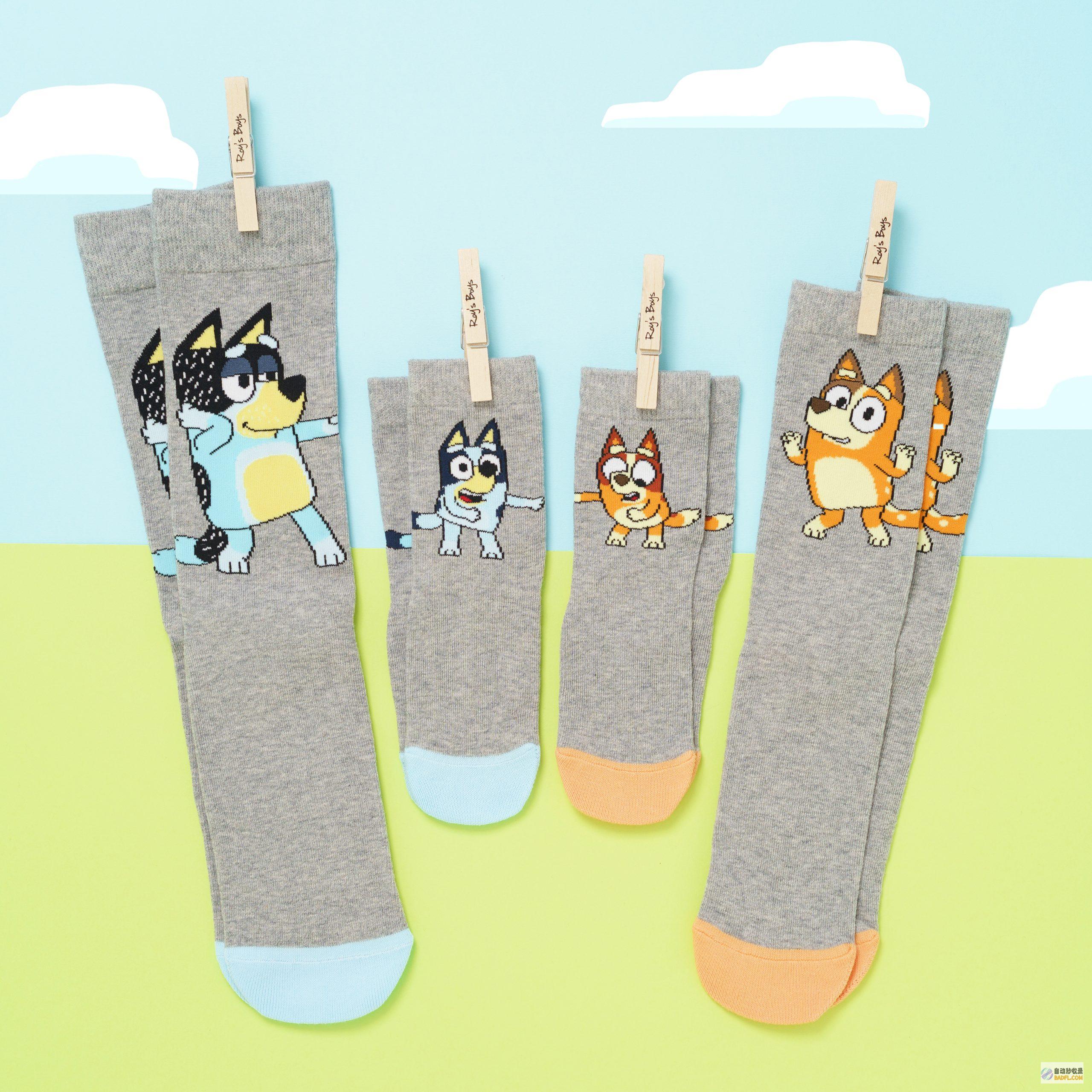 SOCKS5协议：网络代理的利器，了解其原理和应用 (insstudios品牌介绍)