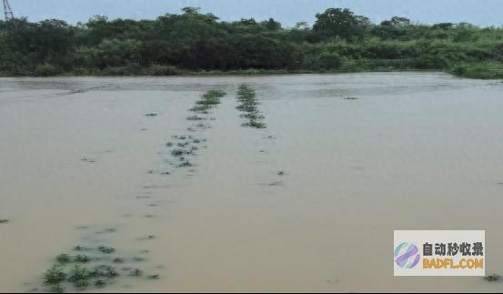 徽州区兑现农险灾道理赔款逾10万元 (徽州区农委)