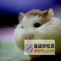 マウスイベントとキーボードイベントを使用して、インターフェイスをよりユーザーフレンドリーにする方法