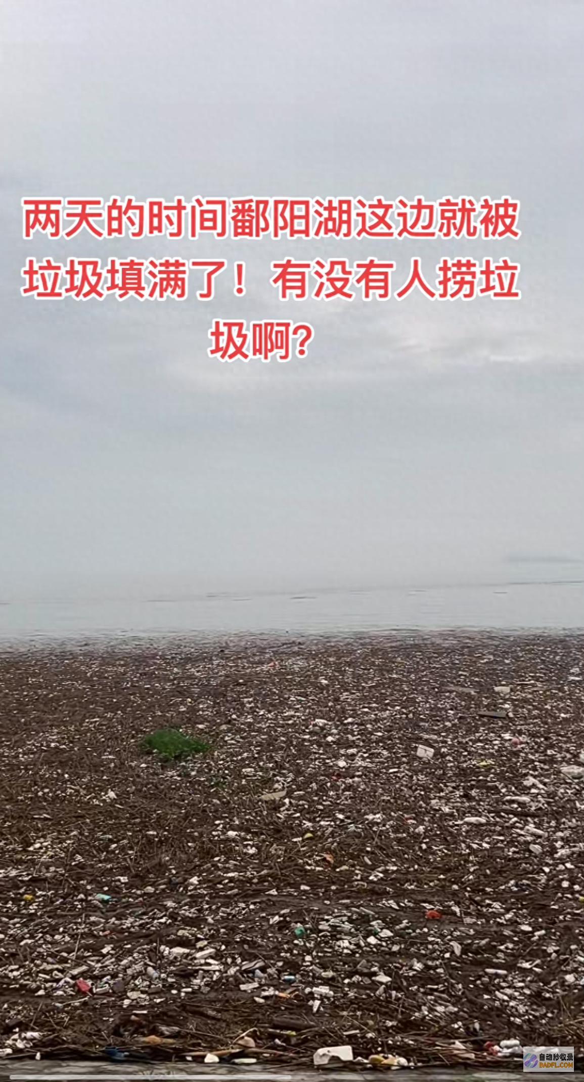 雨停后会清算 雨势太大不可作业 近期刮微风所致 鄱阳湖局部湖面被渣滓填满 生态环境局 (雨停后会出现什么现象)