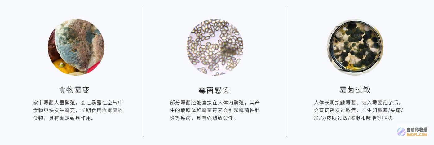 修建