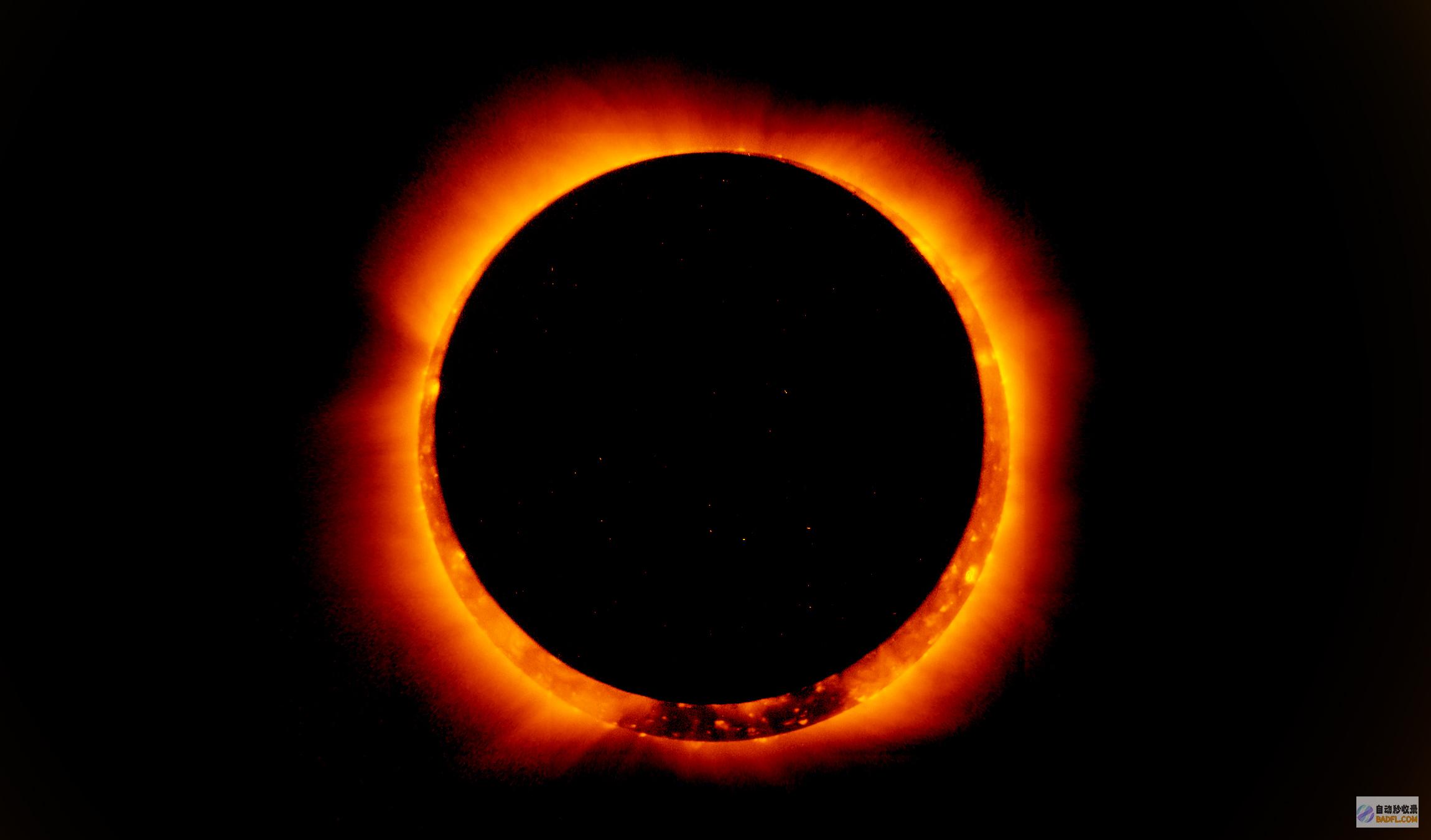 Eclipse 中的 Subversion 使用指南：从初学者到专家 (eclipse)