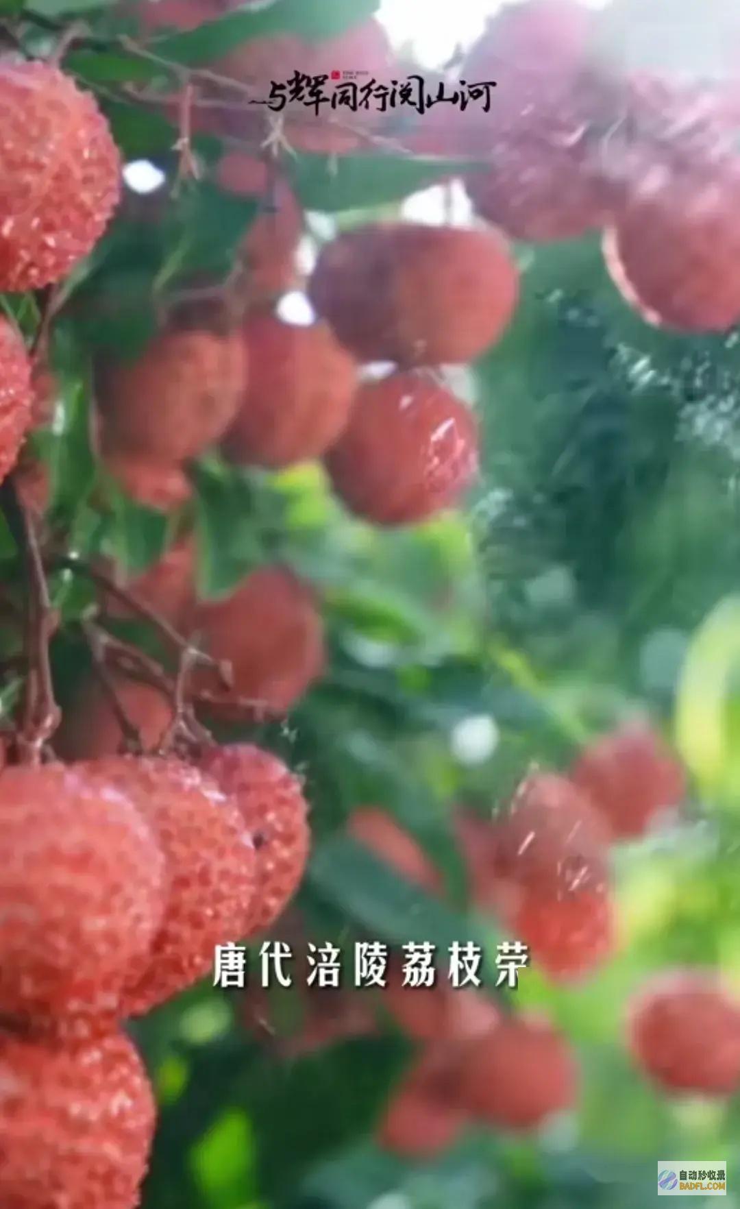 王炸董宇辉5分钟连发3篇重庆小作文文中一句诗让
