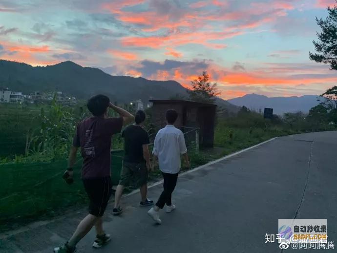 九连增 韩国出口 (九连增是什么意思)