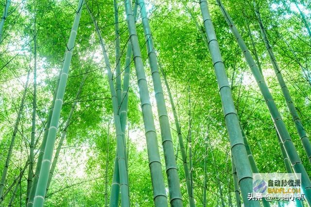 雨带核心向北移动明先天7月34号天气本轮强降雨