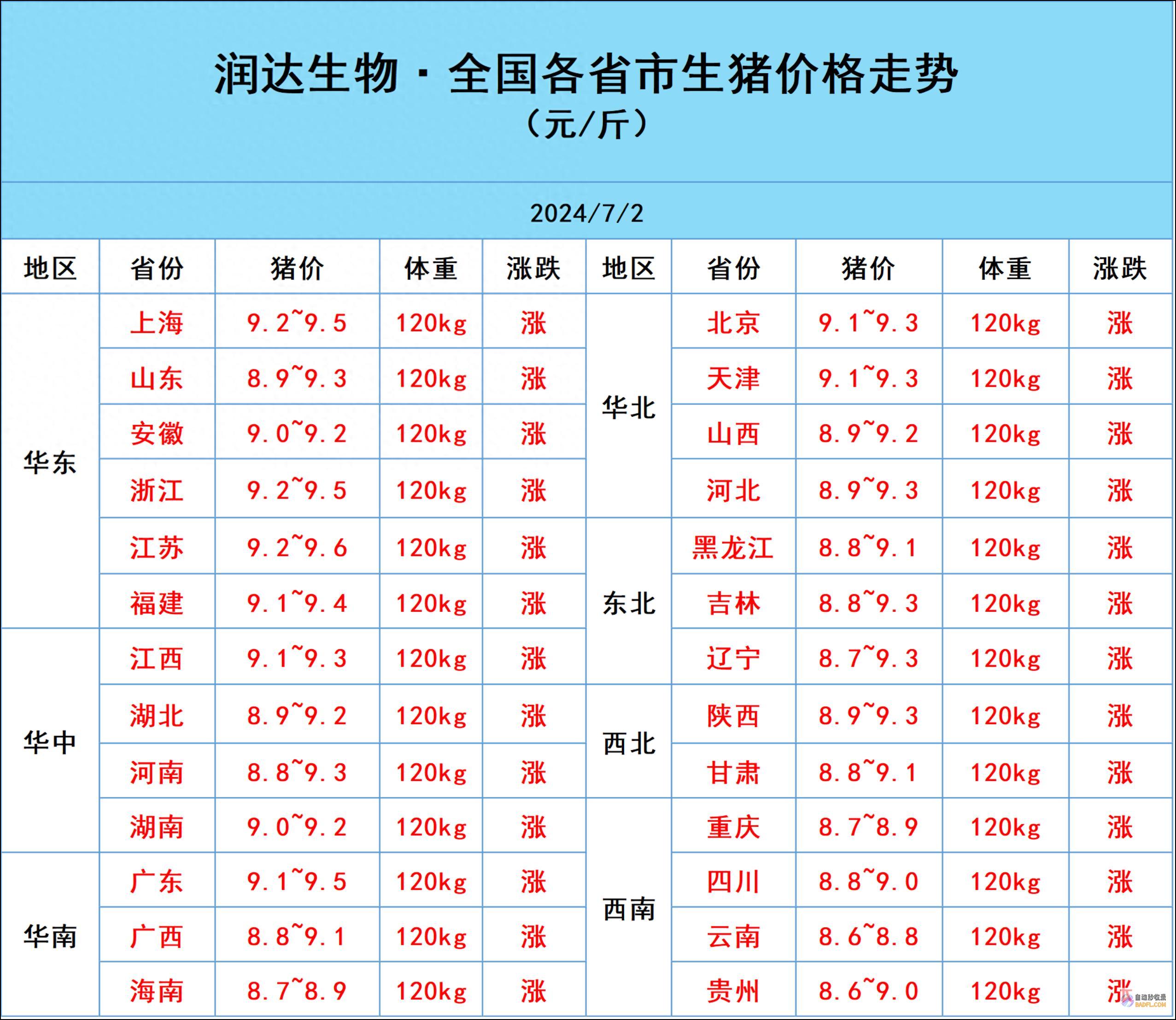 猪价狂潮来袭7月2日越涨越猛多少钱飙升市场猪价