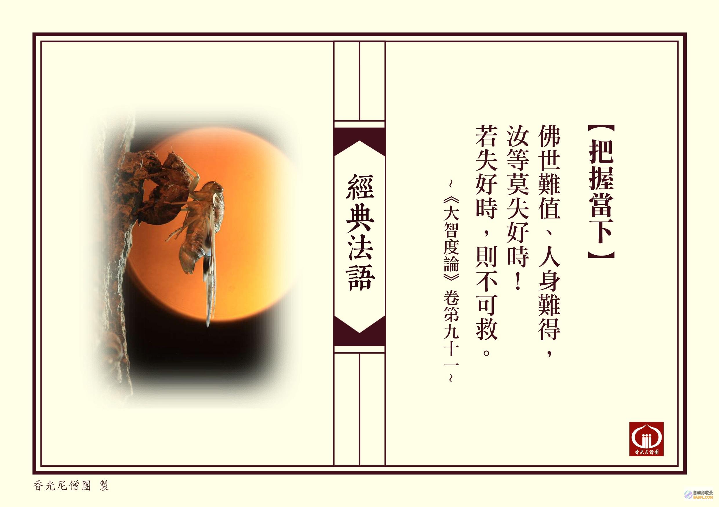 全面掌握 Oracle 9：企业级数据库解决方案的优势和最佳实践 (全面掌握情况)