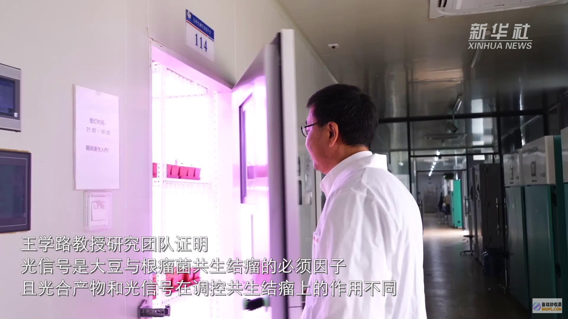 揭示 Jusched 的奥秘：揭开日程安排、任务管理和协作的无限潜力 (揭示是什么意思)