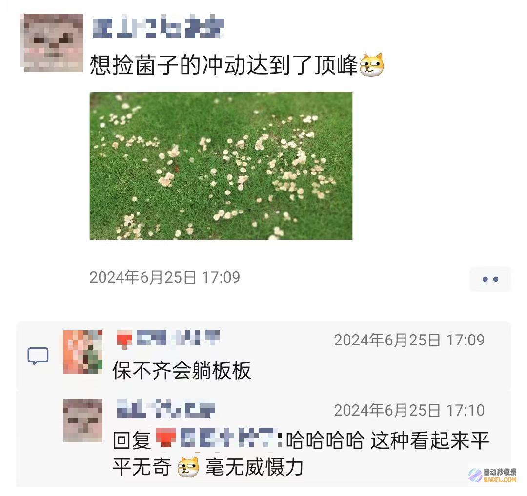 别碰别吃雨后正少量出现紧急提示别吃别吃