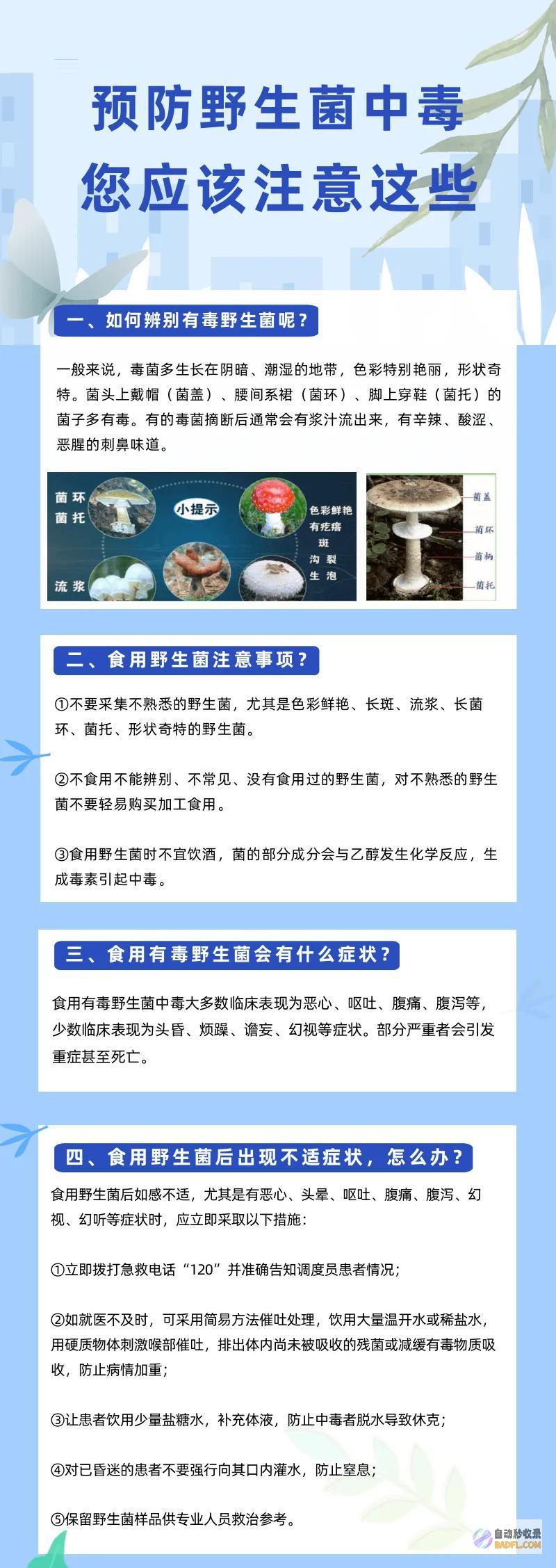 别碰别吃雨后正少量出现紧急提示别吃别吃