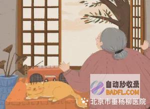 生命全期治理系列科普老年医学科独居老人的日常