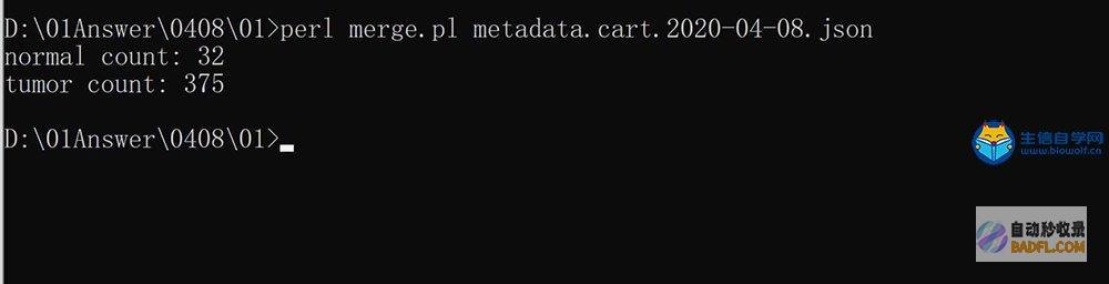 Perl 脚本文件执行的 Windows 命令行工具: perl.exe (perl脚本if判断字符串)