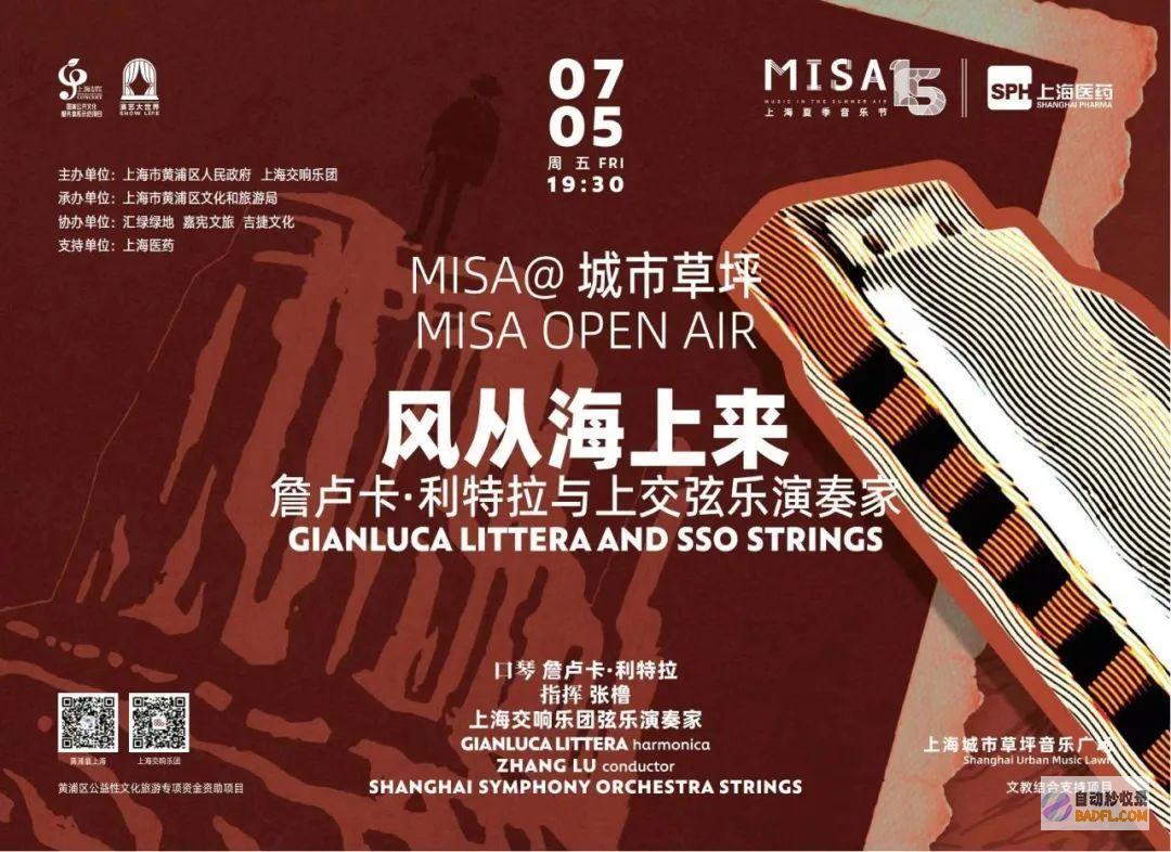 市区草坪音乐会市区草坪面积排名
