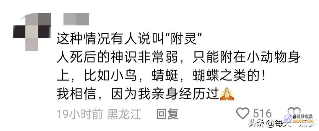 一位爷爷说死后要变成蝴蝶来看孙子逝世今天