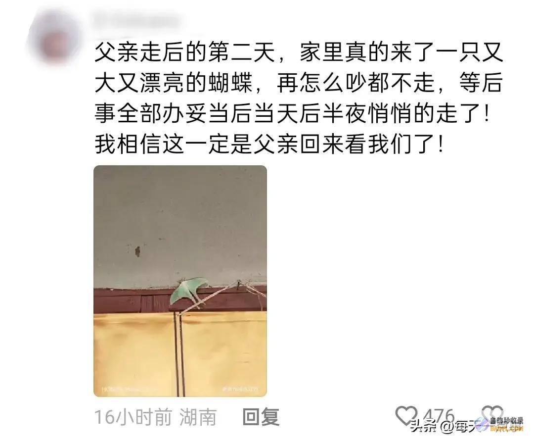 一位爷爷说死后要变成蝴蝶来看孙子逝世今天