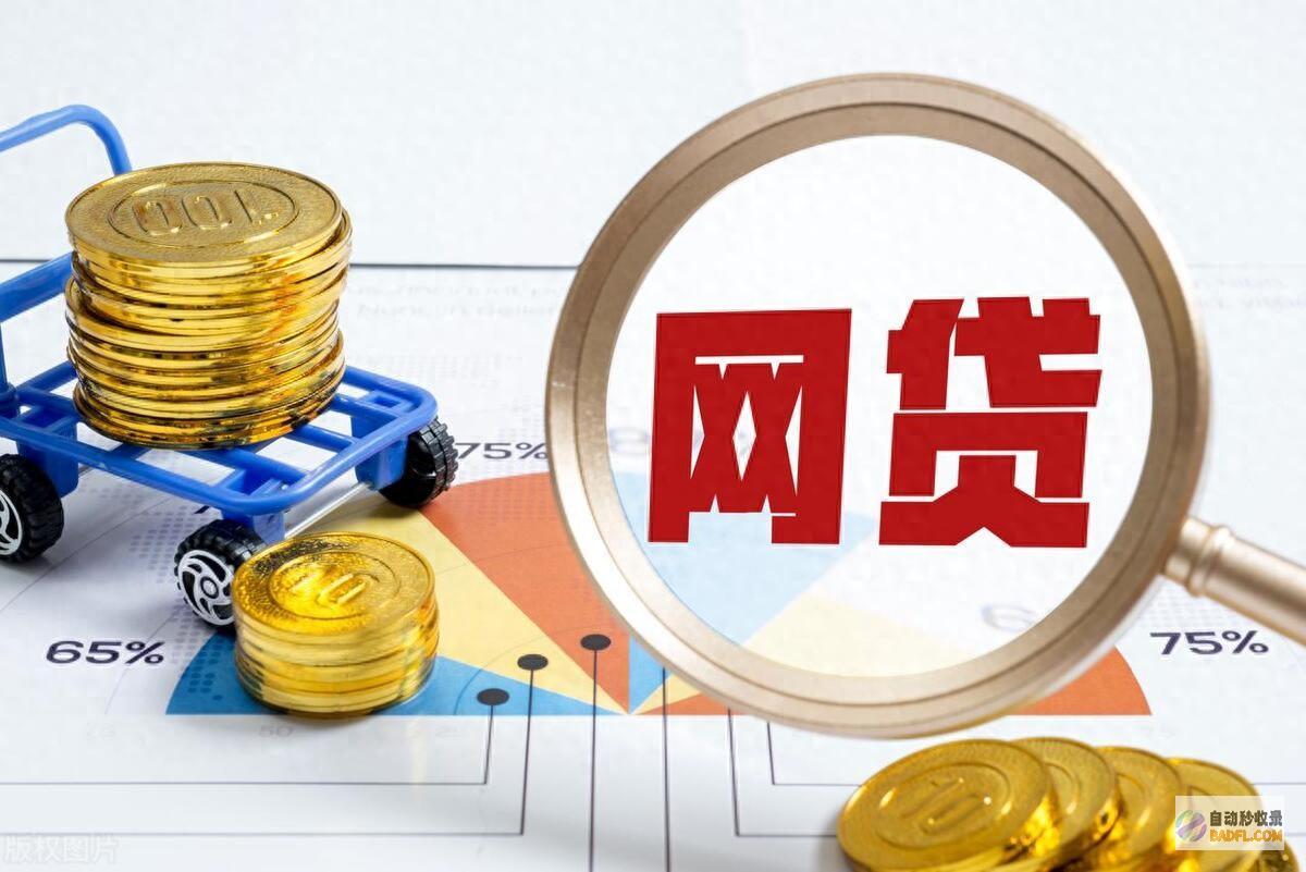 被网贷上了桎梏的年轻人前途在何方 (被网贷了怎么办报警吗)