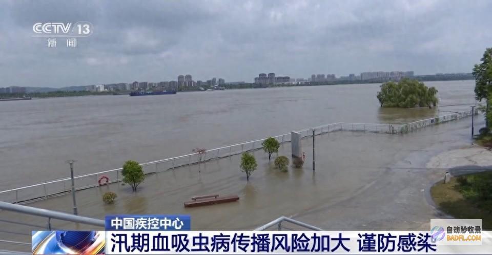 汛期血吸虫病流传危险放大 谨防感化 中国疾控核心 (汛期血吸虫病防控应急预案)