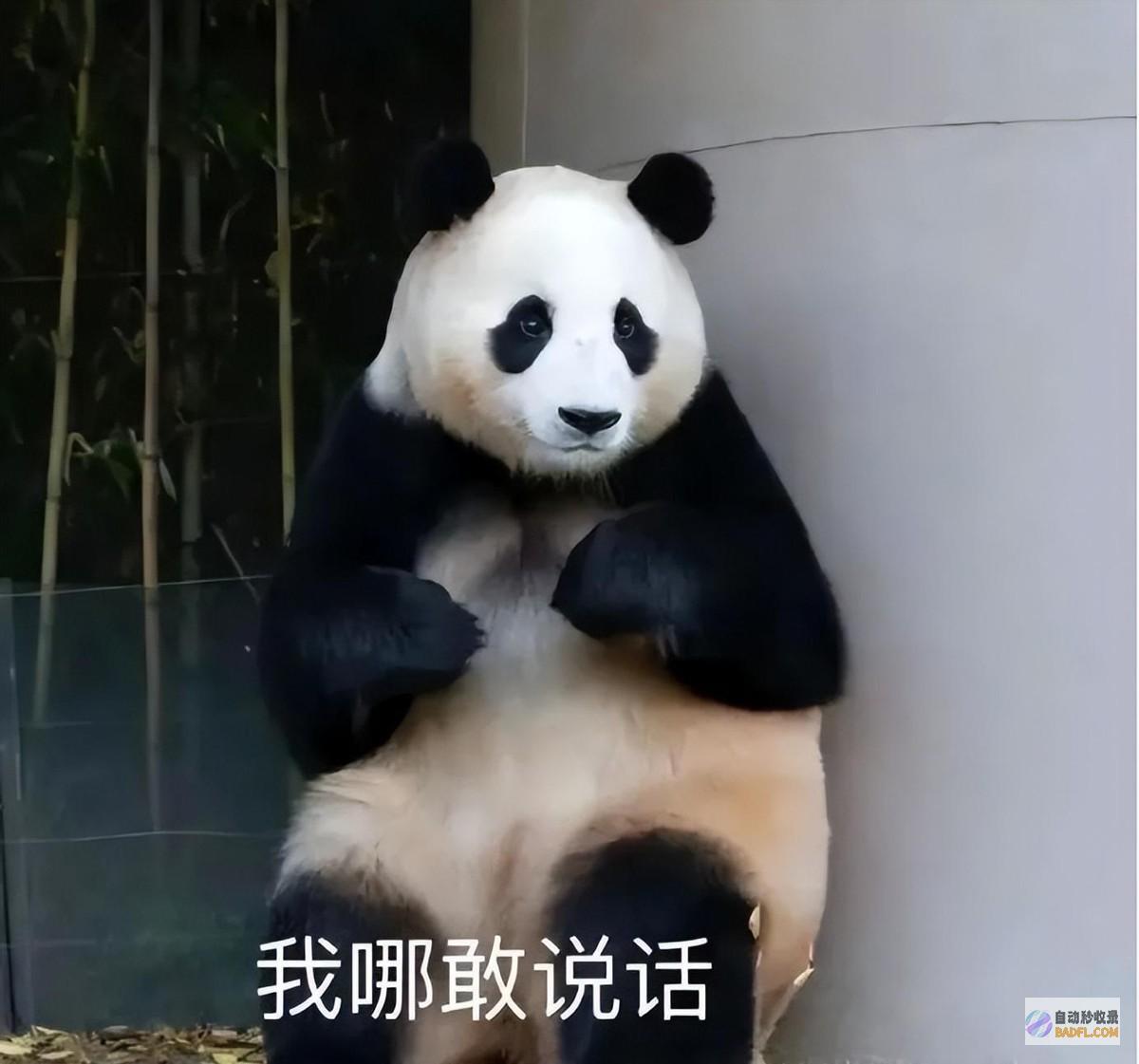 韩雪爷爷被玩梗你们是何居心韩雪爷爷打脸