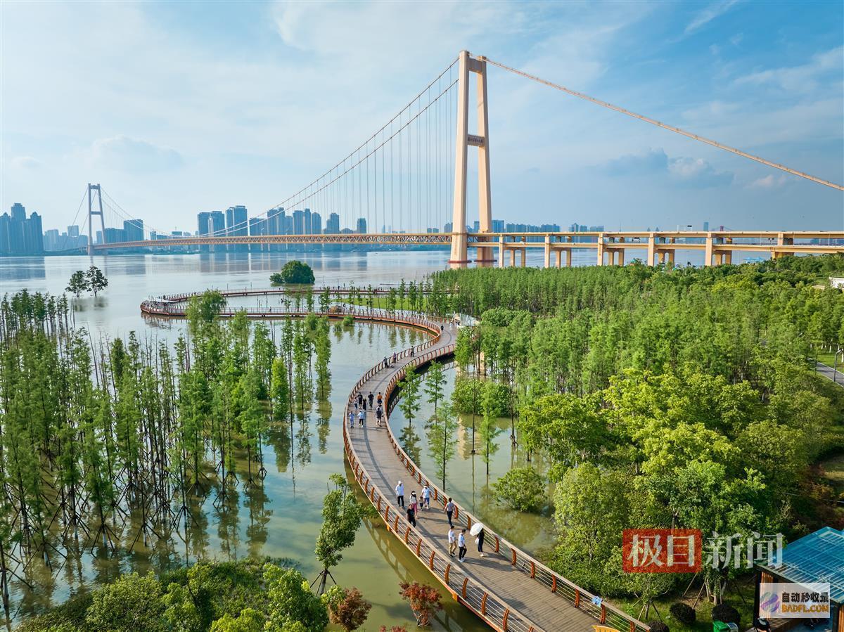 长江汉口站水位已达2761米沿江景观今昔剧变长江