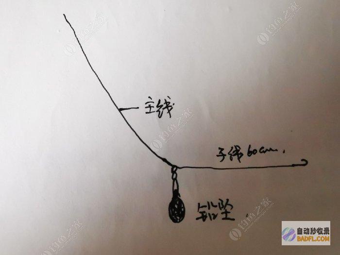 沉底也不松竿 女子钓鱼反被拖上水 究竟谁钓谁 网友 笑麻了 (沉底也不松竿怎么办)