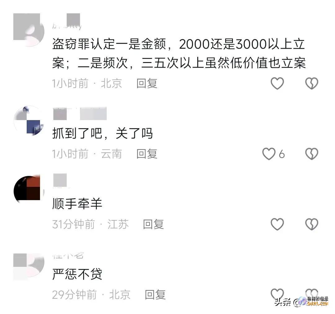 丢人北京一缺德爹应用和婴儿车做掩护狂偷21