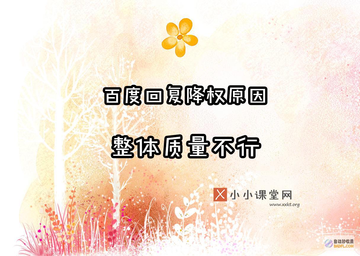 百度排名优化：解放你的 SEO 潜力