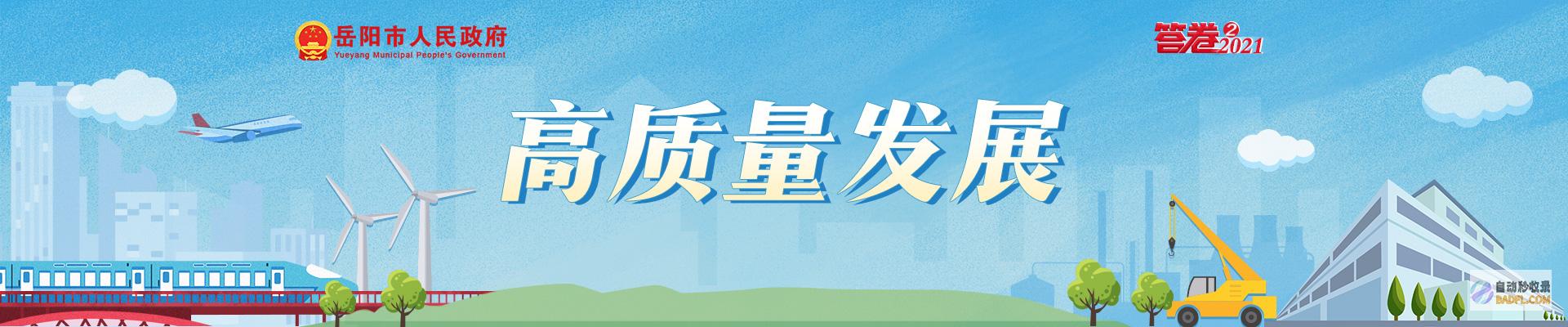 提升岳阳网站排名：优化策略与案例分析 (岳阳市网)