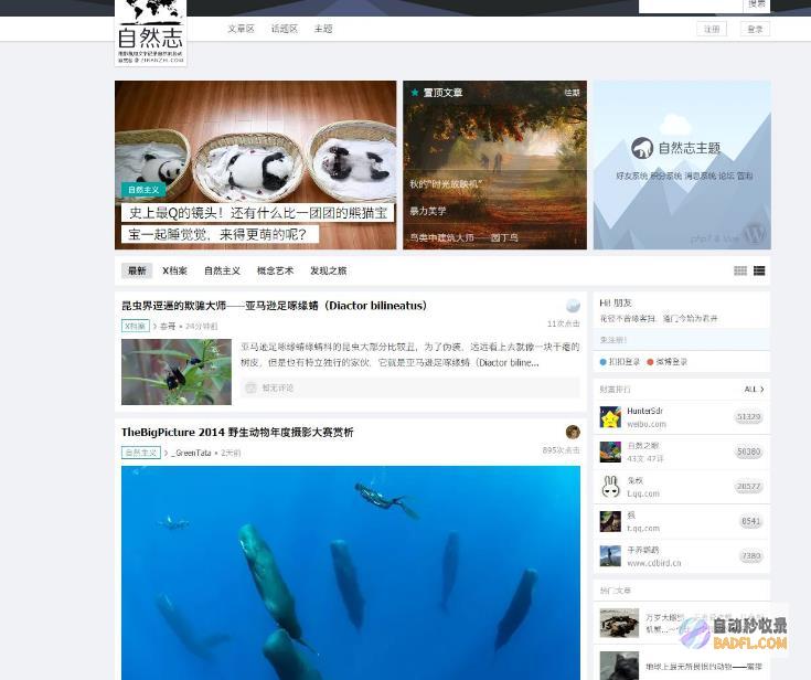 优化您的网站关键词，用排名软件获得竞争优势 (优化您的网站是什么)